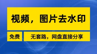 Download Video: 手机视频去水印app，图片去水印，无限制。免费还好用，本地视频去水印