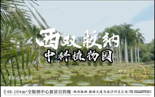 Скачать видео: 中科院植物园，西双版纳绿城春江明月项目