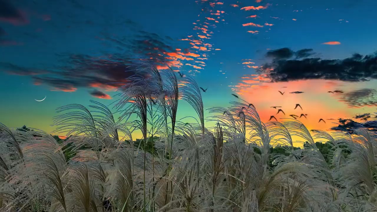 治愈系风景