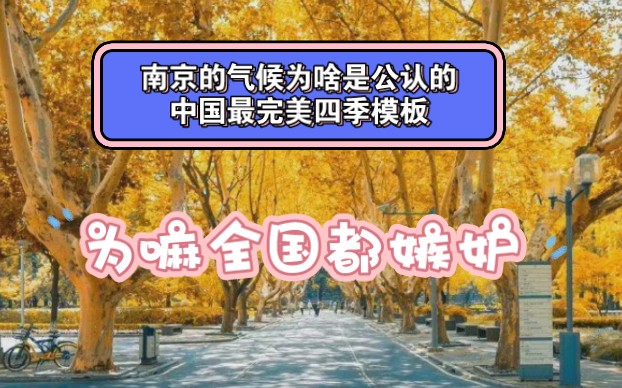 南京的气候为啥是公认的中国最完美四季模板,为嘛全国都嫉妒?哔哩哔哩bilibili