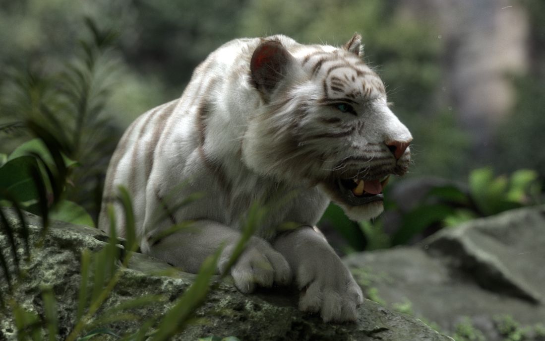 孟加拉虎vs非洲狮这特效牛逼