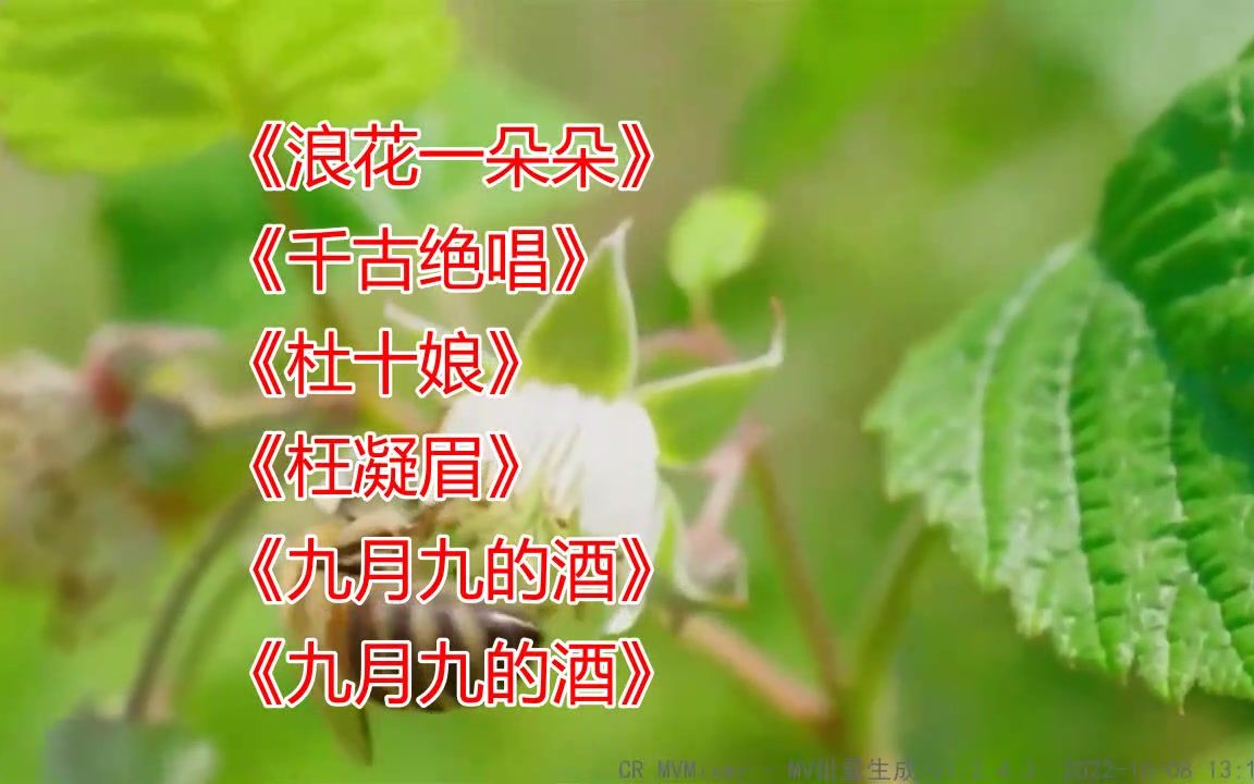 [图]网络热播歌曲《浪花一朵朵》《千古绝唱》《杜十娘》《枉凝眉》《九月九的酒》《九月九的酒》