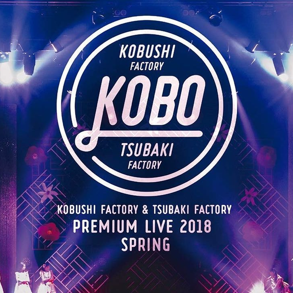 Kobushi Factory & Tsubaki Factory Premium Live 2018春“KOBO”_哔哩哔 