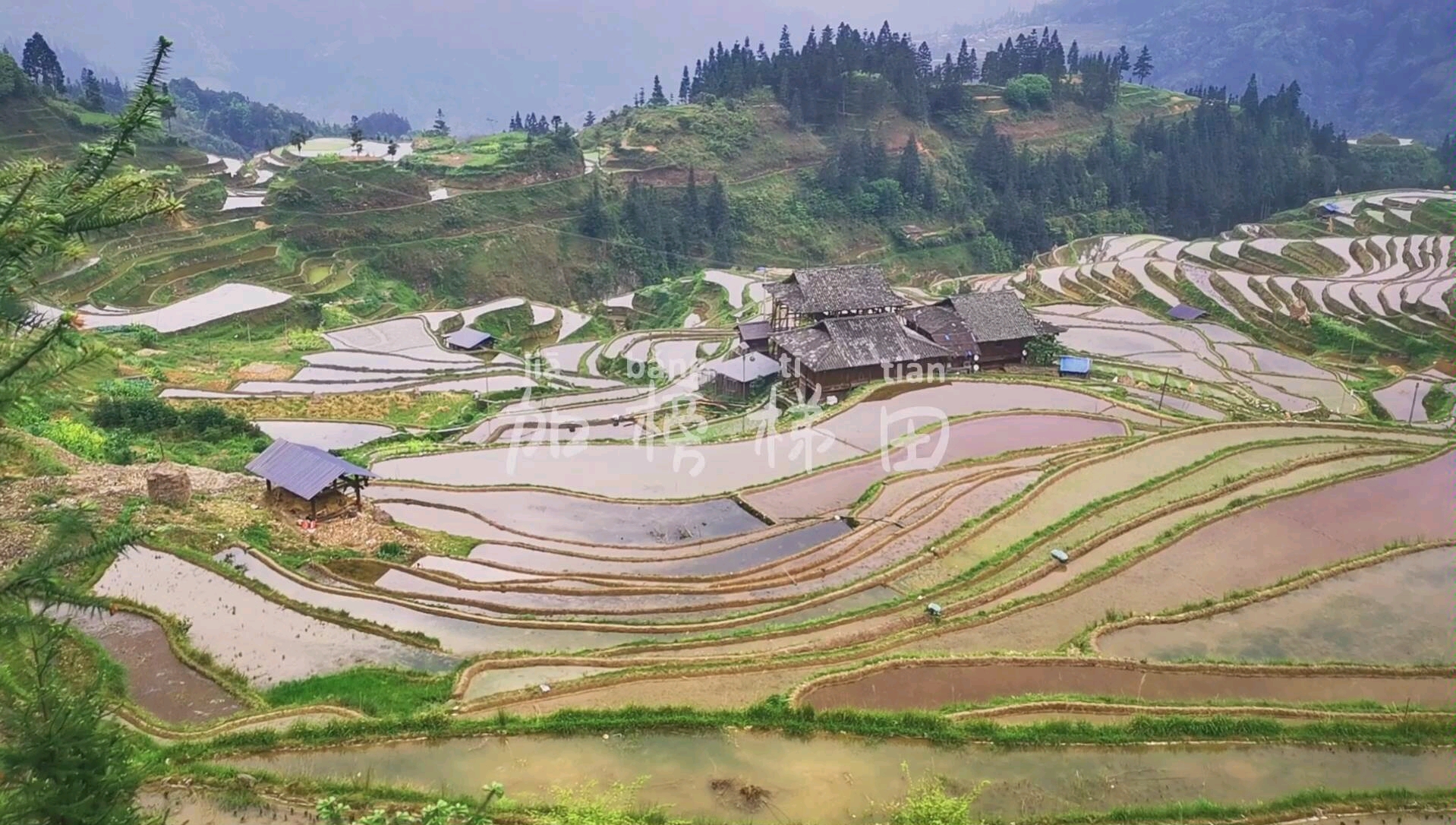 [图]开3小时山路，开到有人晕到吐，就给我看这个：加榜梯田