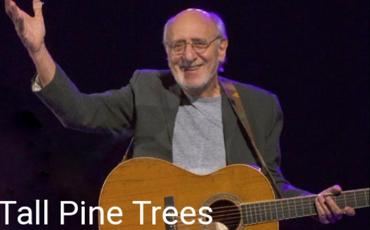 [图]Peter Yarrow - 《Tall Pine Trees》（高耸的松树）现场 林子祥 我要走天涯 英文版