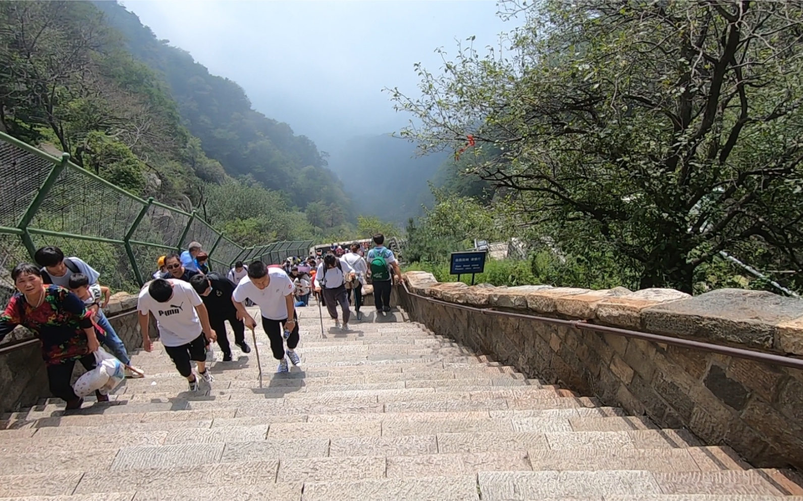 泰山日常爬台阶