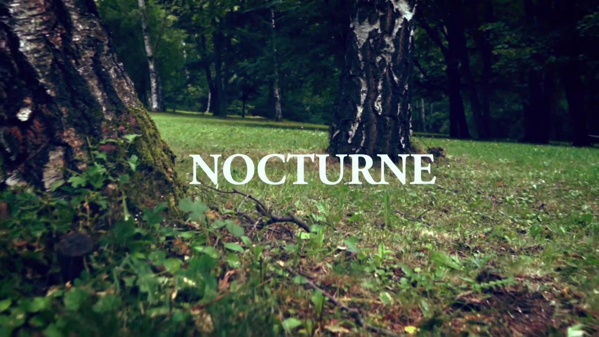 [图]【Secret Garden】Nocturne官方歌词mv