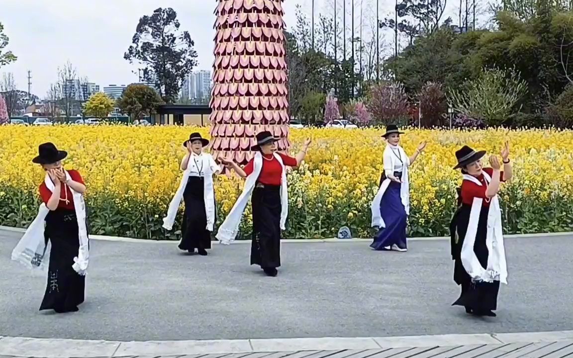 [图]欢乐梅朵锅庄队，藏族美女春季踏青翩翩起舞，尽情享受锅庄的快乐