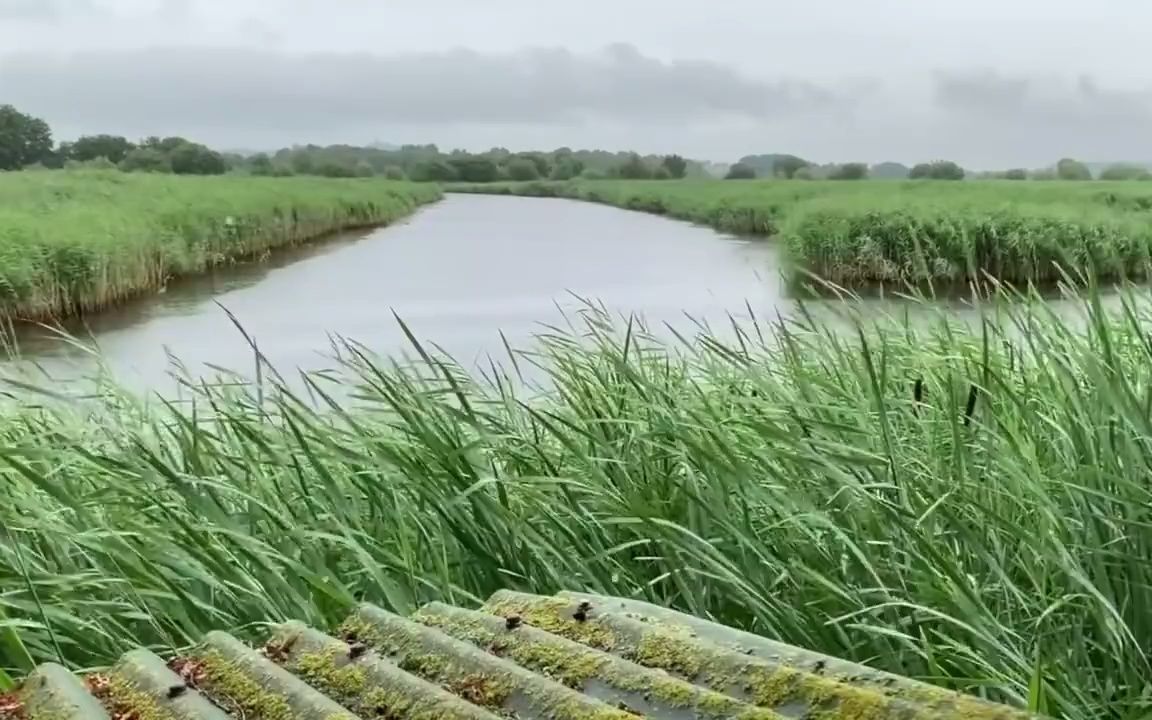 [图]【完结】超级聊天术：如何成为沟通高手在，公众号：老路学堂