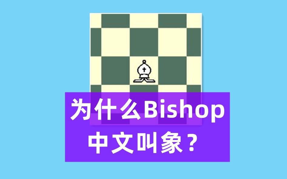 为什么国际象棋的棋子不直接翻译成主教、骑士、城堡?哔哩哔哩bilibili