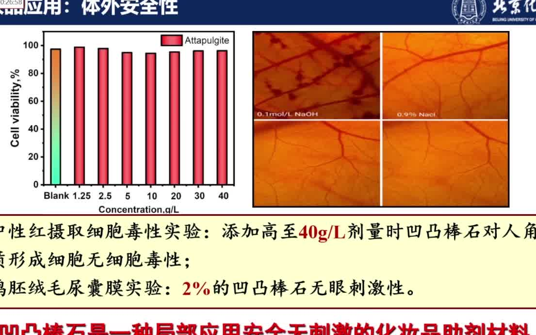 20220523北京化工大学冯拥军凹凸棒石精制的关键技术及应用哔哩哔哩bilibili