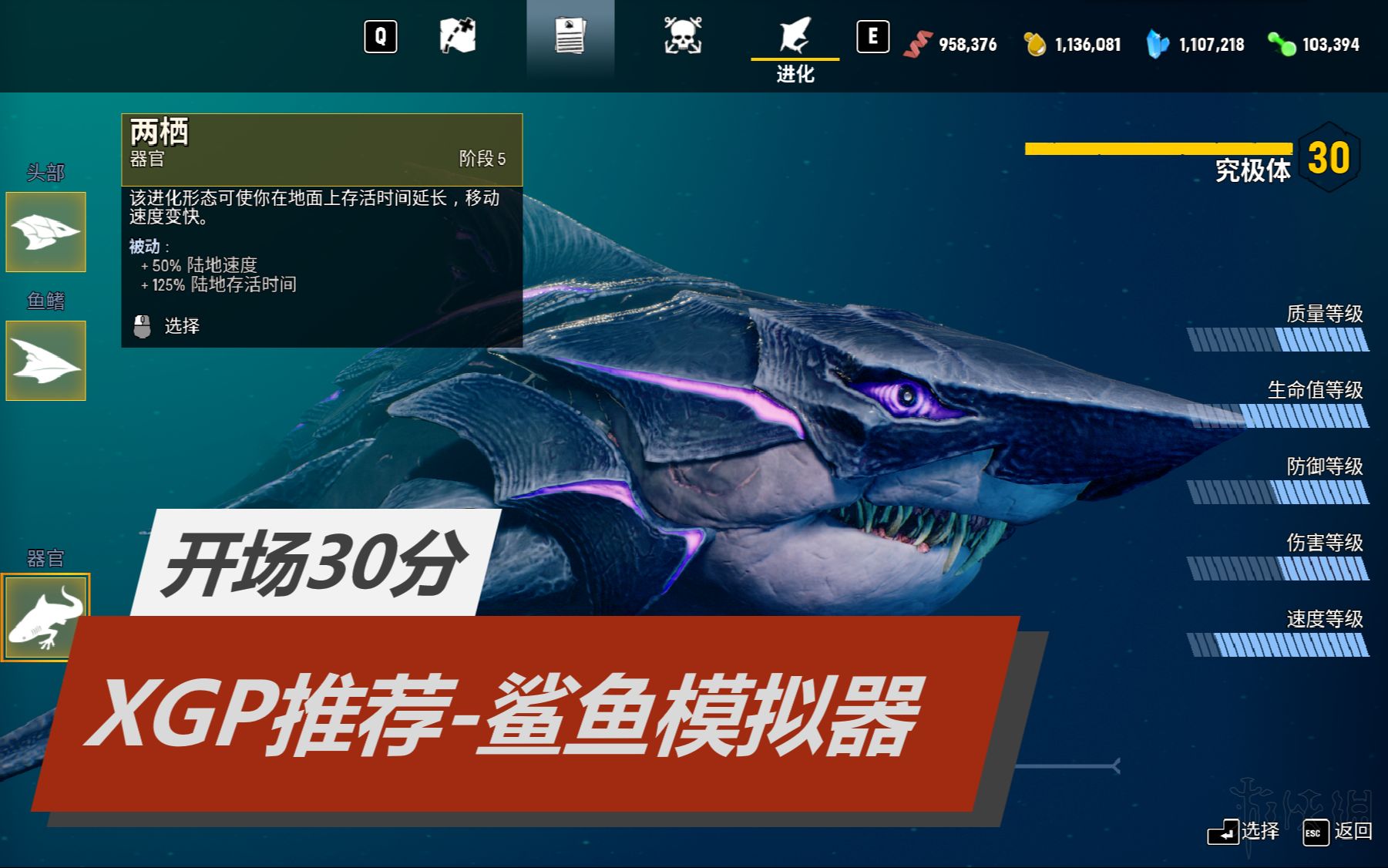 鲨鱼模拟器无限等级