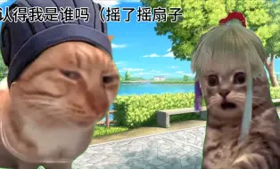 Download Video: 【猫meme】去三国城拍月球周瑜被诸葛亮拦了