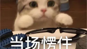 瞎录