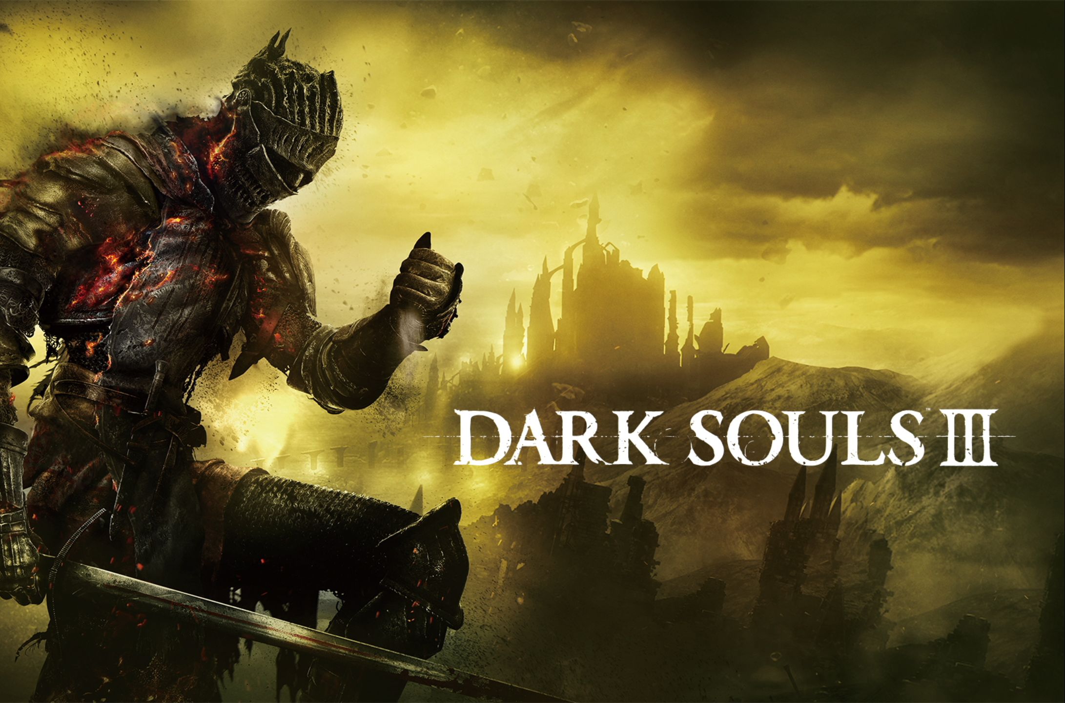 【魂三boss合集】薪王化身 17