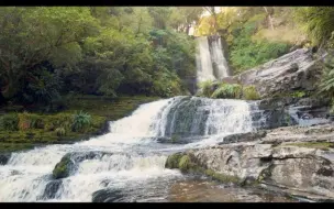 下载视频: 放鬆心靈的音樂 🎵 早上聽的好歌, 大自然清澈流水聲和清脆鳥叫聲，清除負面能量, 放鬆腦神經細胞, 鋼琴曲 輕音樂