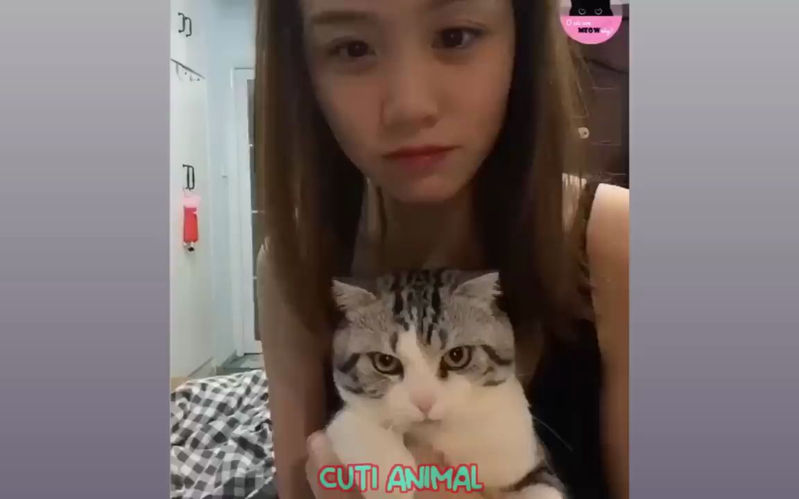 [图]Funny Dog And Cat 搞笑动物锦集116