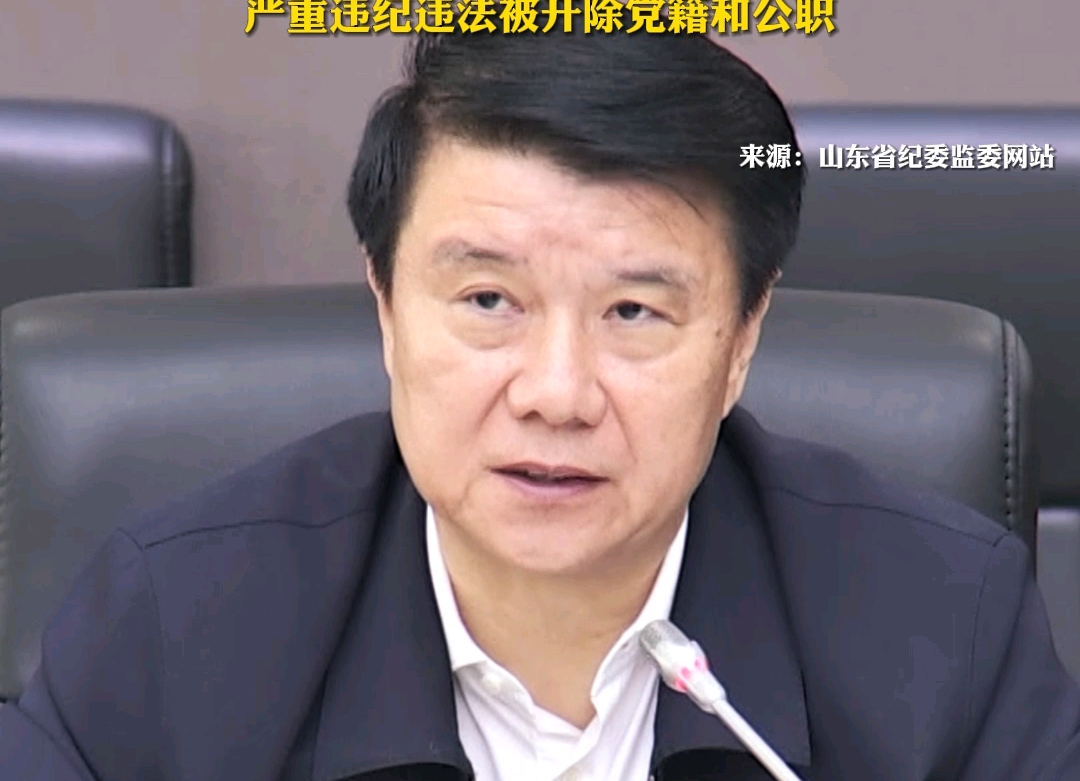 山东省人大原常委、法制委员会原主任委员崔洪刚严重违纪违法被开除党籍和公职.哔哩哔哩bilibili