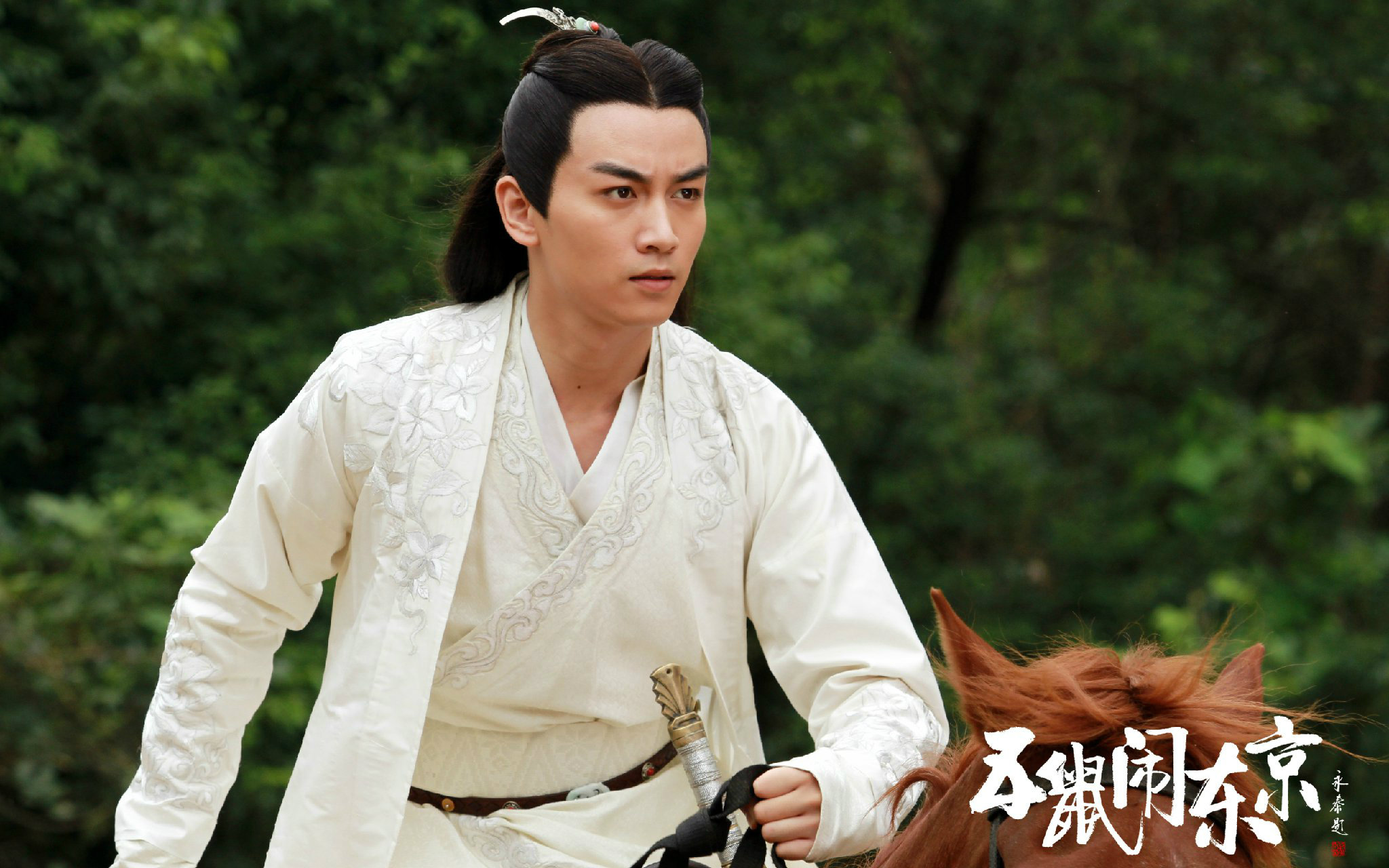 白五爷闪亮登场