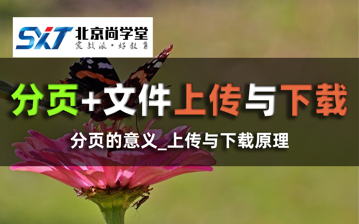 2021年JavaWeb分页技术实现及代码封装前端和后端分页功能的实现精品教学javaEE分页技术学习(分页原理及实现)数据分页与文件上传下载技术与原...