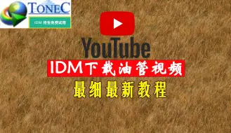 Download Video: IDM下载油管YouTube视频被限制怎么办？