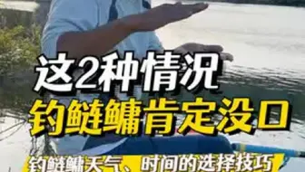 抽鲢鳙，如何选择作钓天气和时间