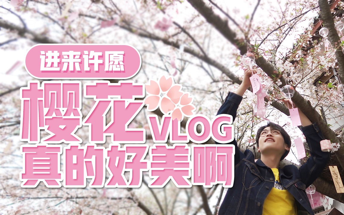 [图]春游VLOG丨春暖花开的季节，带你们去看樱花啊！