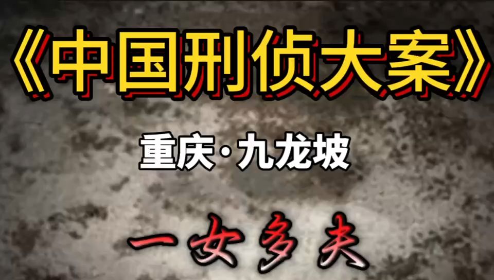 第九十六集 重庆市九龙坡区境内发生一起恶性凶杀案哔哩哔哩bilibili