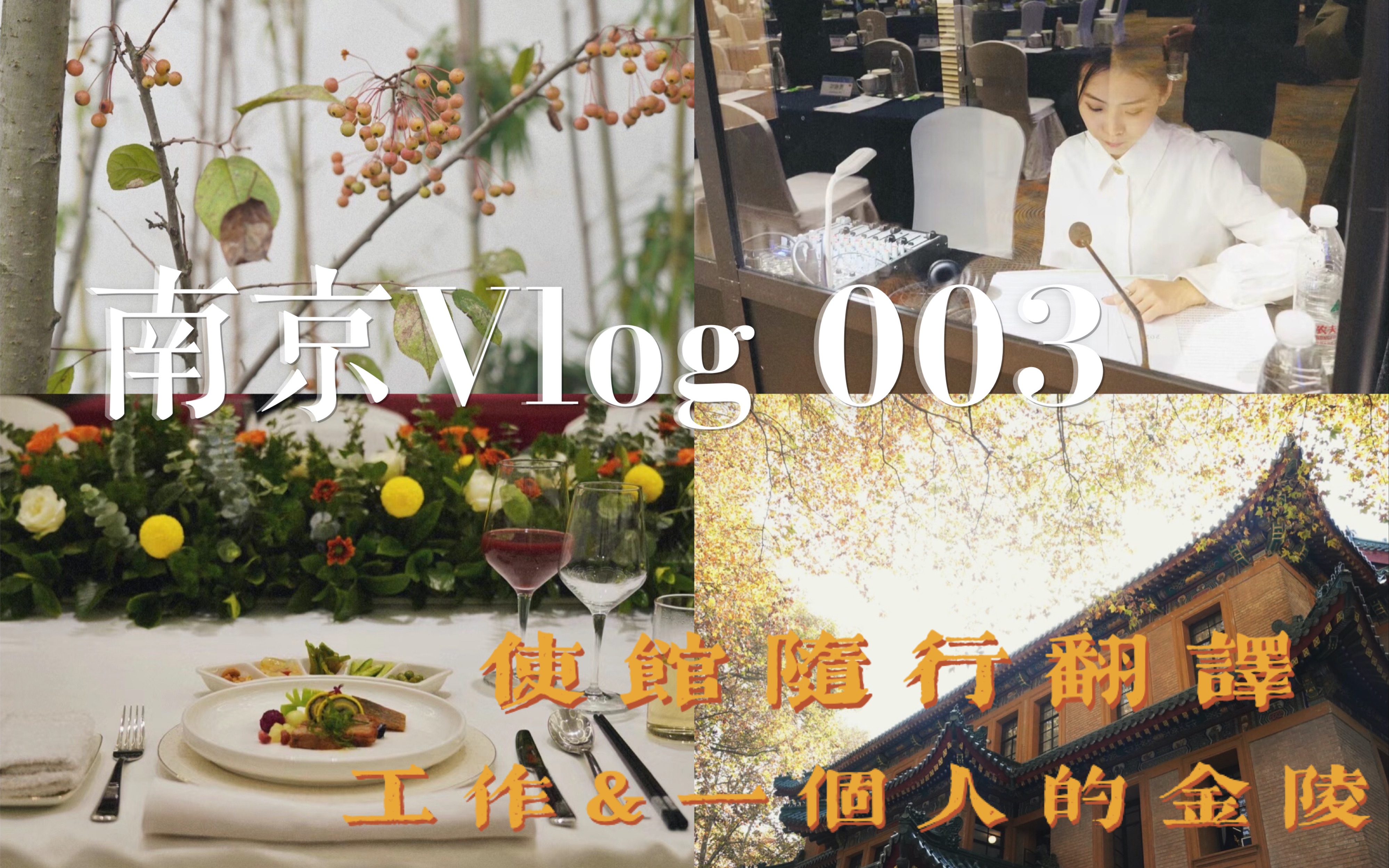 南京VLOG#003|使馆随行翻译|和大使一起游金陵|秦淮河|明孝陵|南京撸猫哔哩哔哩bilibili