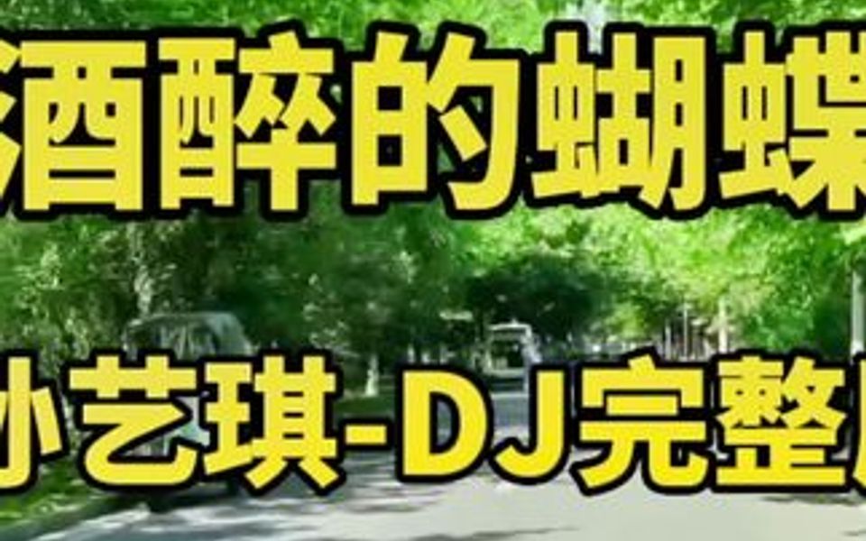 [图]女版原唱《酒醉的蝴蝶》DJ完整版来了，由孙艺琪演唱，歌声甜美，节奏欢乐，百听不厌。