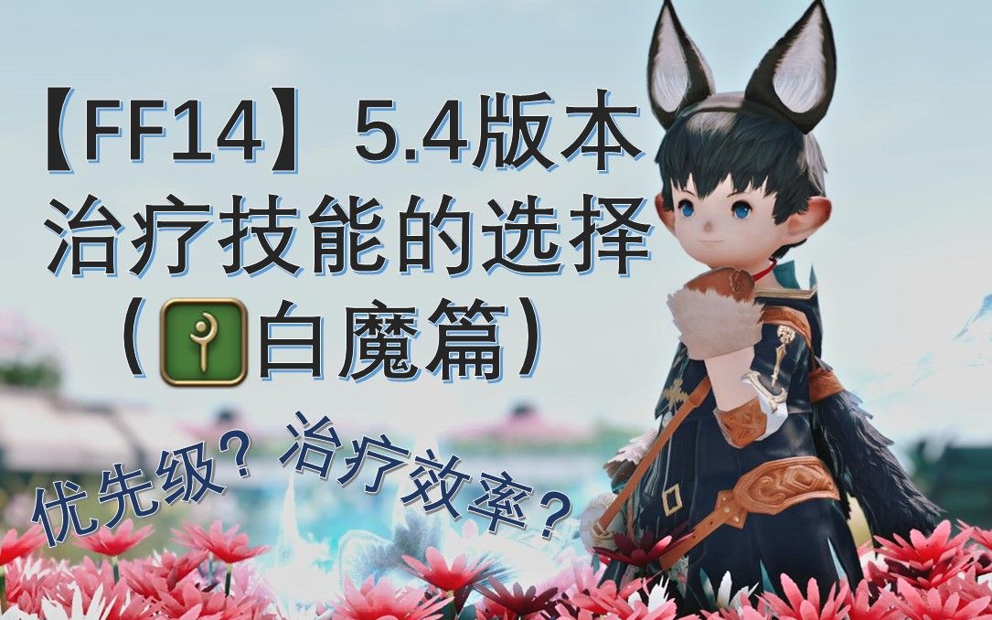 ff14白魔图标图片