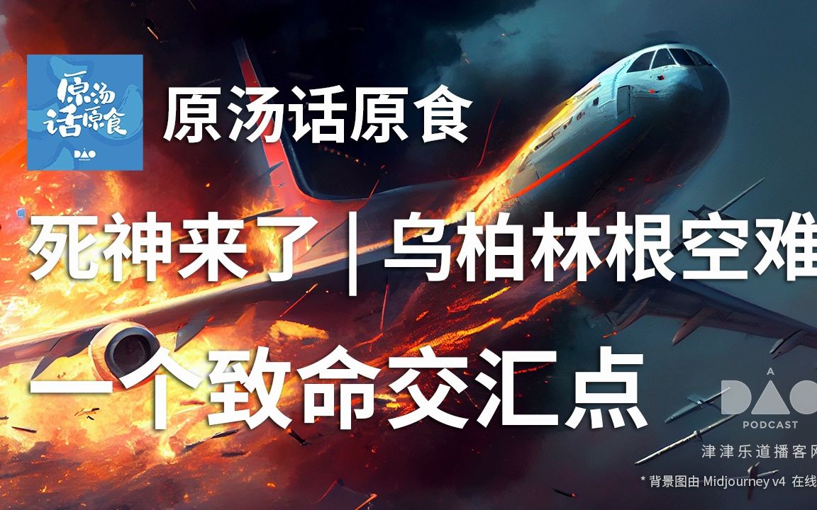 [图]【音频】死神来了 | 乌柏林根空难，一个致命交汇点