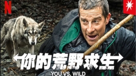 记录 求生 Bear Grylls求生 140集 中文字幕 哔哩哔哩 つロ干杯 Bilibili