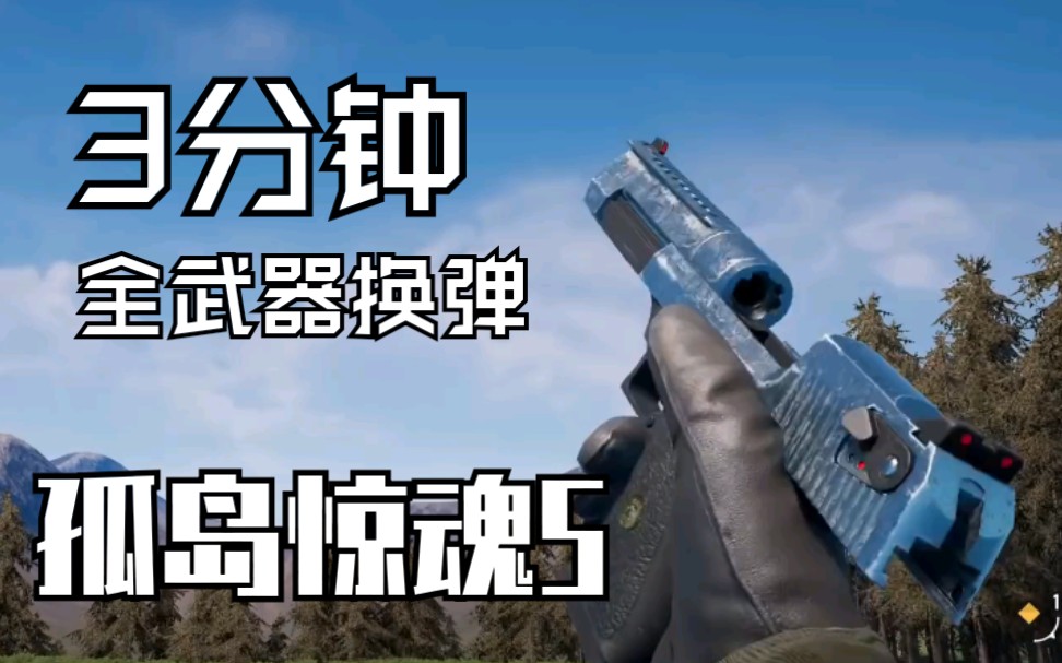 [图]【孤岛惊魂5】全武器『3分钟』换弹动画演示