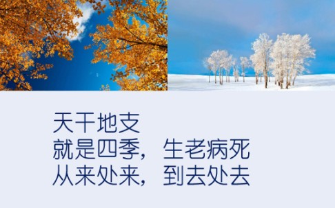 天干地支都是什么意思?哔哩哔哩bilibili