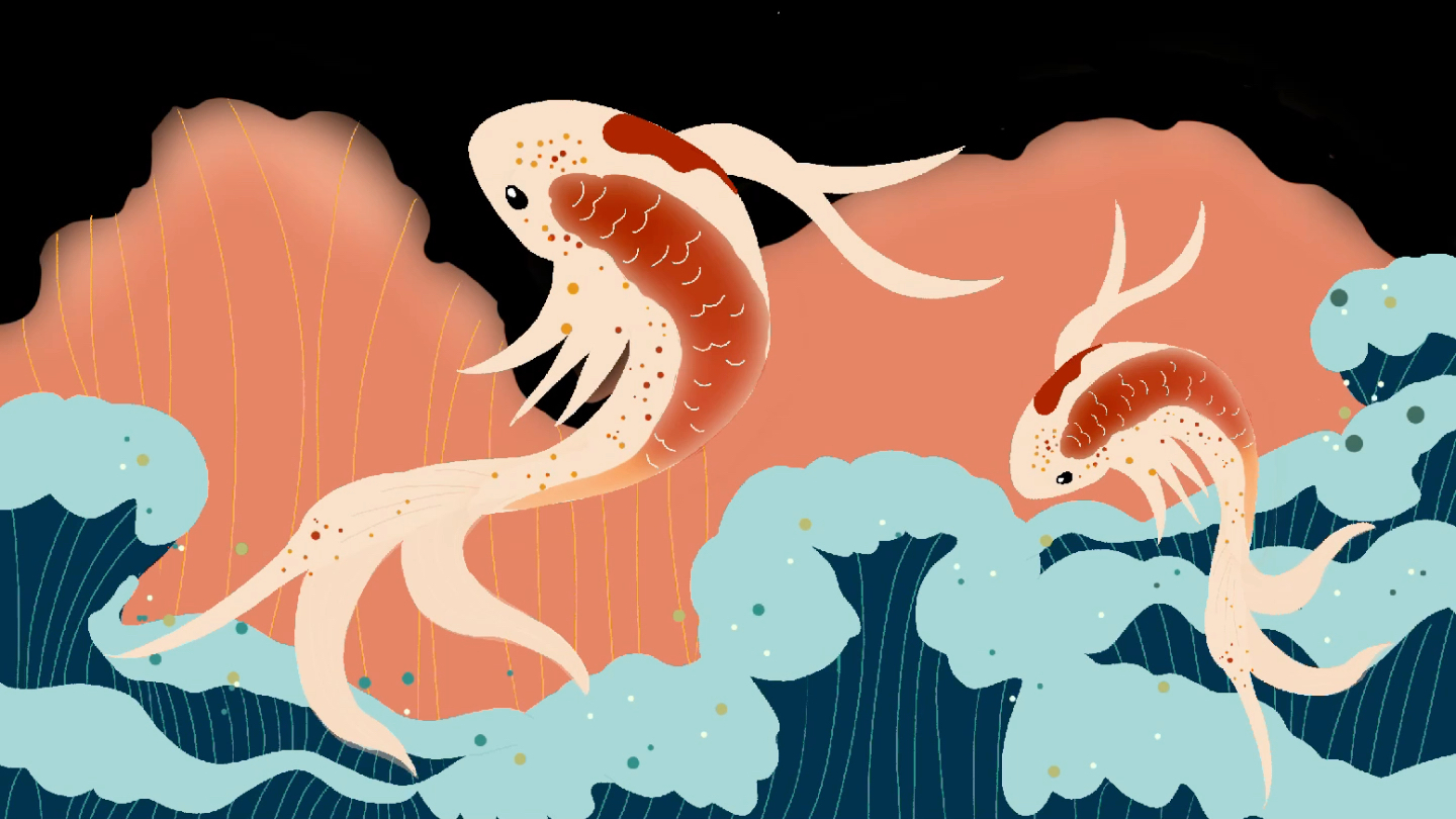 鲤鱼插画