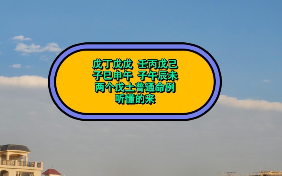 戊丁戊戊 壬丙戊己子巳申午 子午辰未两个戊土普通命例听懂的来哔哩哔哩bilibili