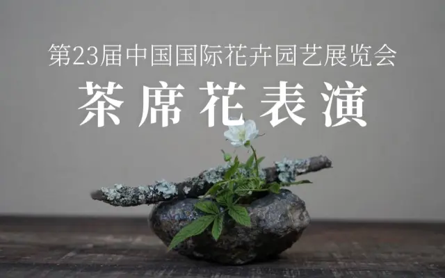 花艺在线的个人空间 哔哩哔哩 Bilibili
