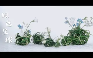球形花 搜索结果 哔哩哔哩 Bilibili