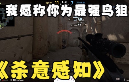 CSGO外挂第一视角:鸟狙一出,谁与争锋!枪枪爆头,监管奈我何!哔哩哔哩bilibili第一视角