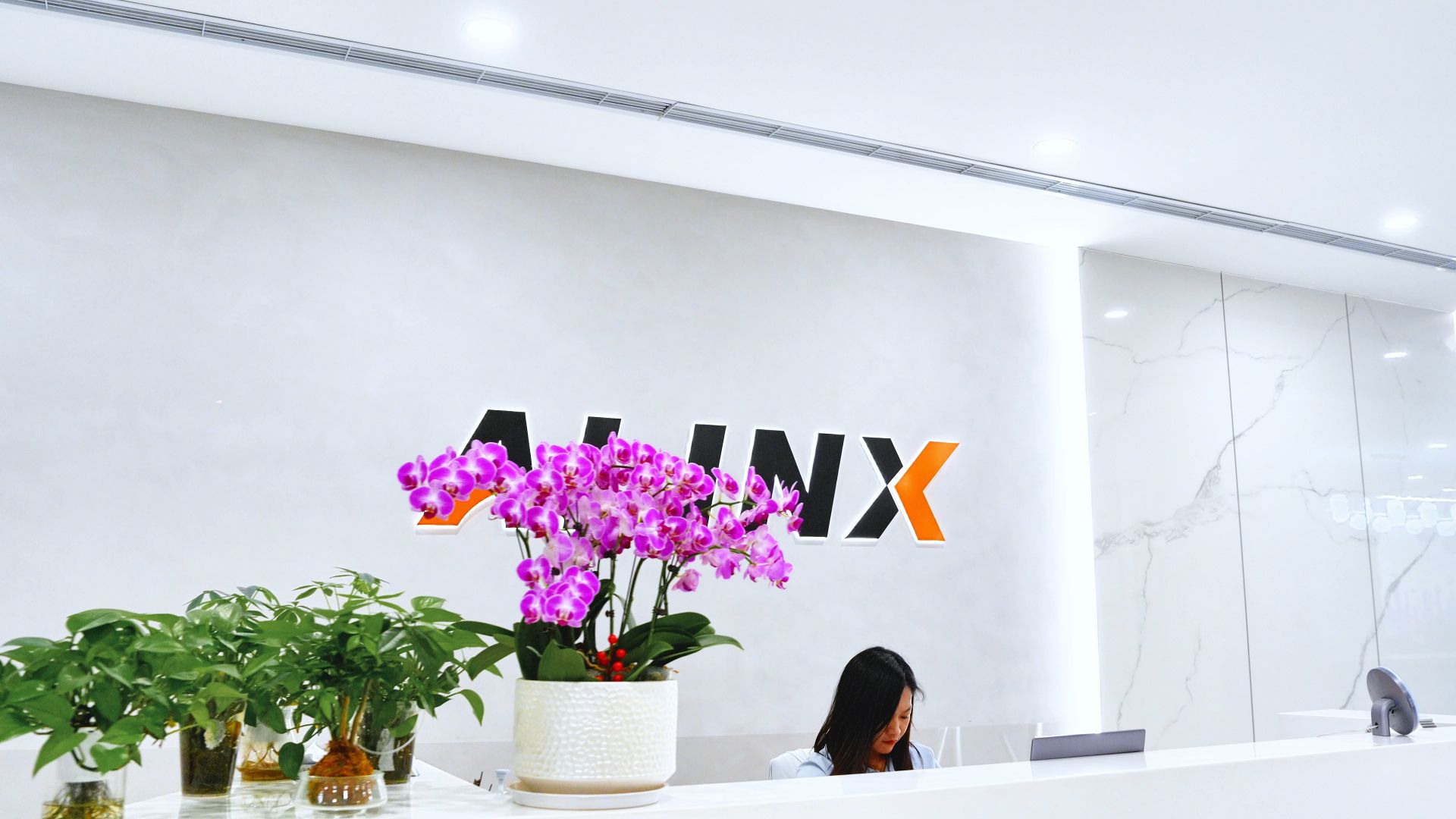 ALINX｜向上不止一层
