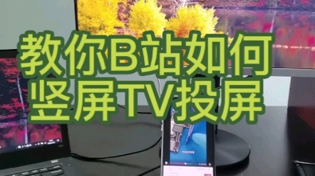 叫你B站如何竖屏TV手机无线投屏哔哩哔哩bilibili