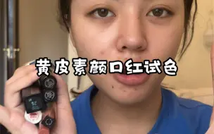 Tải video: 黄皮素颜口红试色