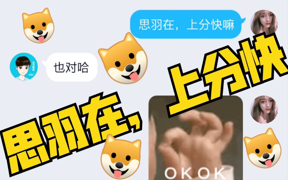 思羽在,上分快(狗头保护)(❁ⴢ—ᠢ)*✲ﾟ*哔哩哔哩bilibili