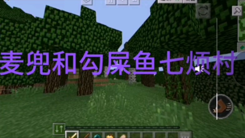 mc麦兜和鱼七烦村生存1
