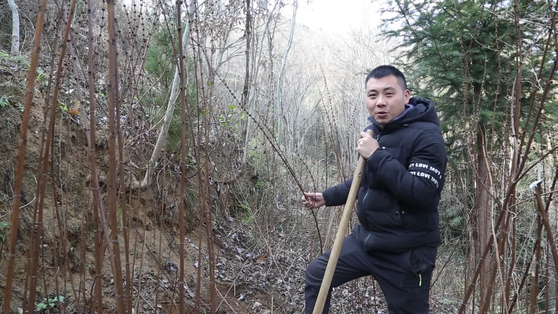 地环与地笋傻傻分不清楚?农村小伙教你如何区分!哔哩哔哩bilibili