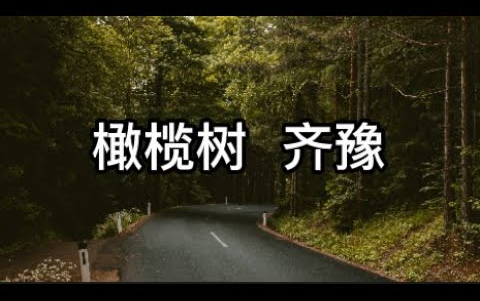 [图]橄榄树 - 齐豫 【不要问我从哪里来我的故乡在远方】【动态歌词Lyrics】