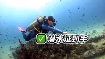 潜水证到手……是个菜鸟潜水员了