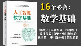 一口气学完微积分、概率论、泰勒公式、拉格朗日、贝叶斯分析、核函数等人工智能数学基础内容，真的是太全了！