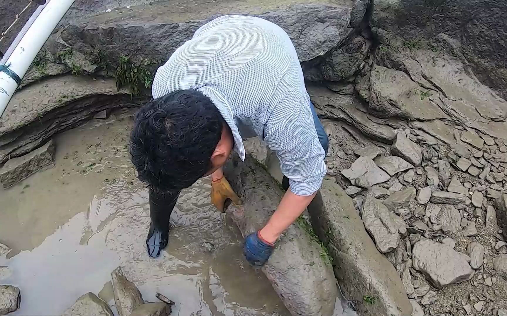 阿阳赶海抽大坑,辛苦半天货没抓多少,但胜在全是值钱海货哔哩哔哩bilibili